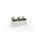 Planter Boxes-pb.webp