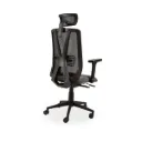 Cadeira Ergonómica Axis