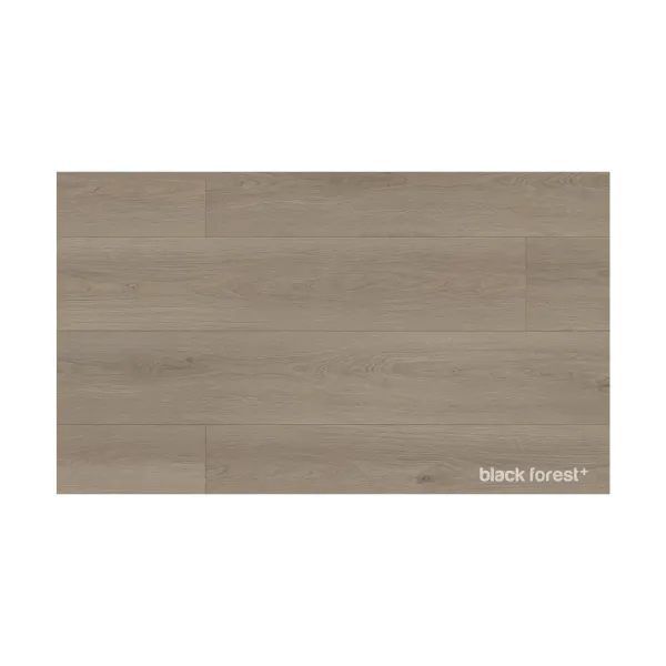 Black Forest Plus - Pinheiro Irlandês